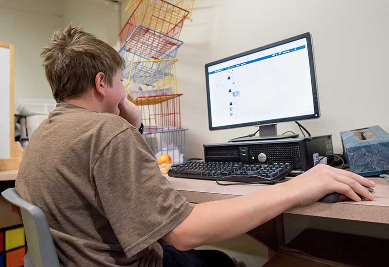 Student sits with hand on computer mouse while looking at computer screen
